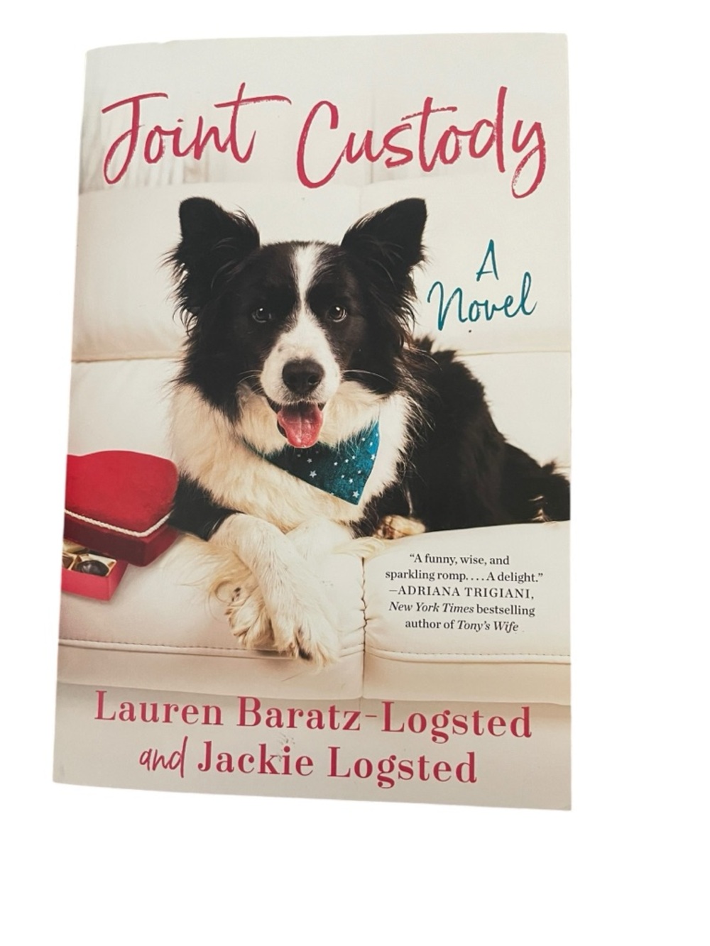 Joint Custody Paperback Book EUC